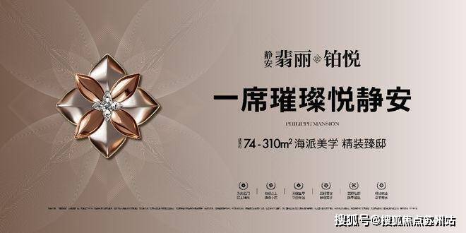 ·翡丽铂悦发布：翡丽铂悦豪宅热卖中！开元棋牌2025聚焦ʚɞ ꦿ℘@静安(图8)