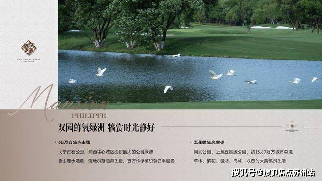 ·翡丽铂悦发布：翡丽铂悦豪宅热卖中！开元棋牌2025聚焦ʚɞ ꦿ℘@静安(图27)