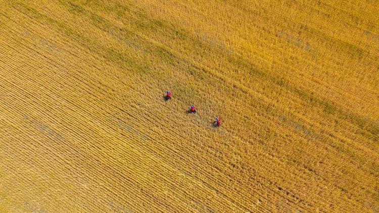 查丨破“碱”重生开元棋牌蹲点调(图8)